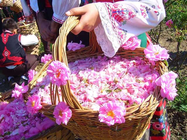 تصویر 2 از قیمت گلاب سبک با کیفیت ارزان + خرید عمده